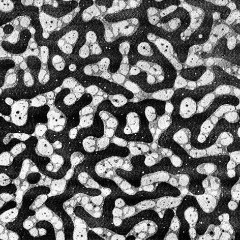 Photo of microscopic soft materials.