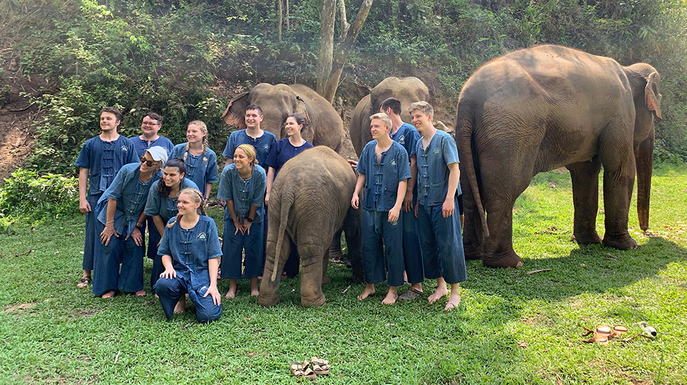 TCE group posing with elephants.