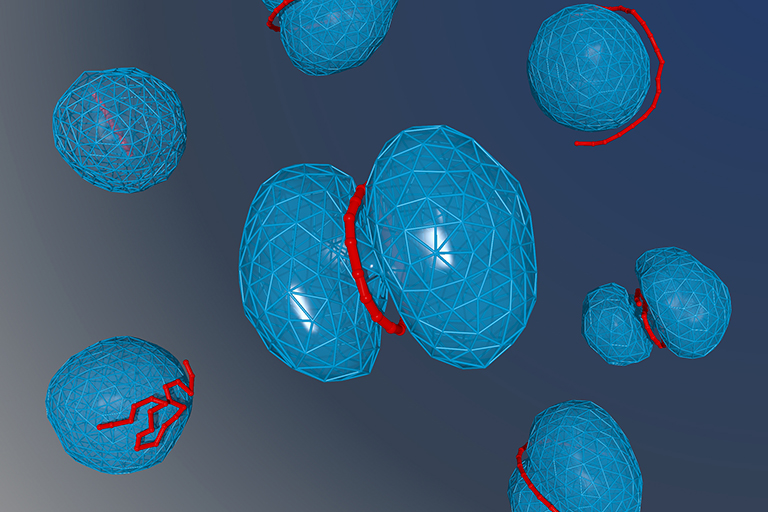 Computer rendering of cells.