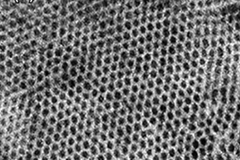 Cross-sectional TEM image. P2VP domains were selectively stained dark by exposure to iodine vapor. The scale bars are 200 nm.