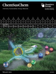 August 2022 cover of ChemSusChem.