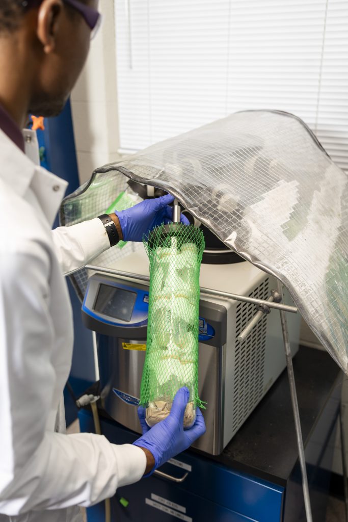 Christian Kemefa running experiments in his lab