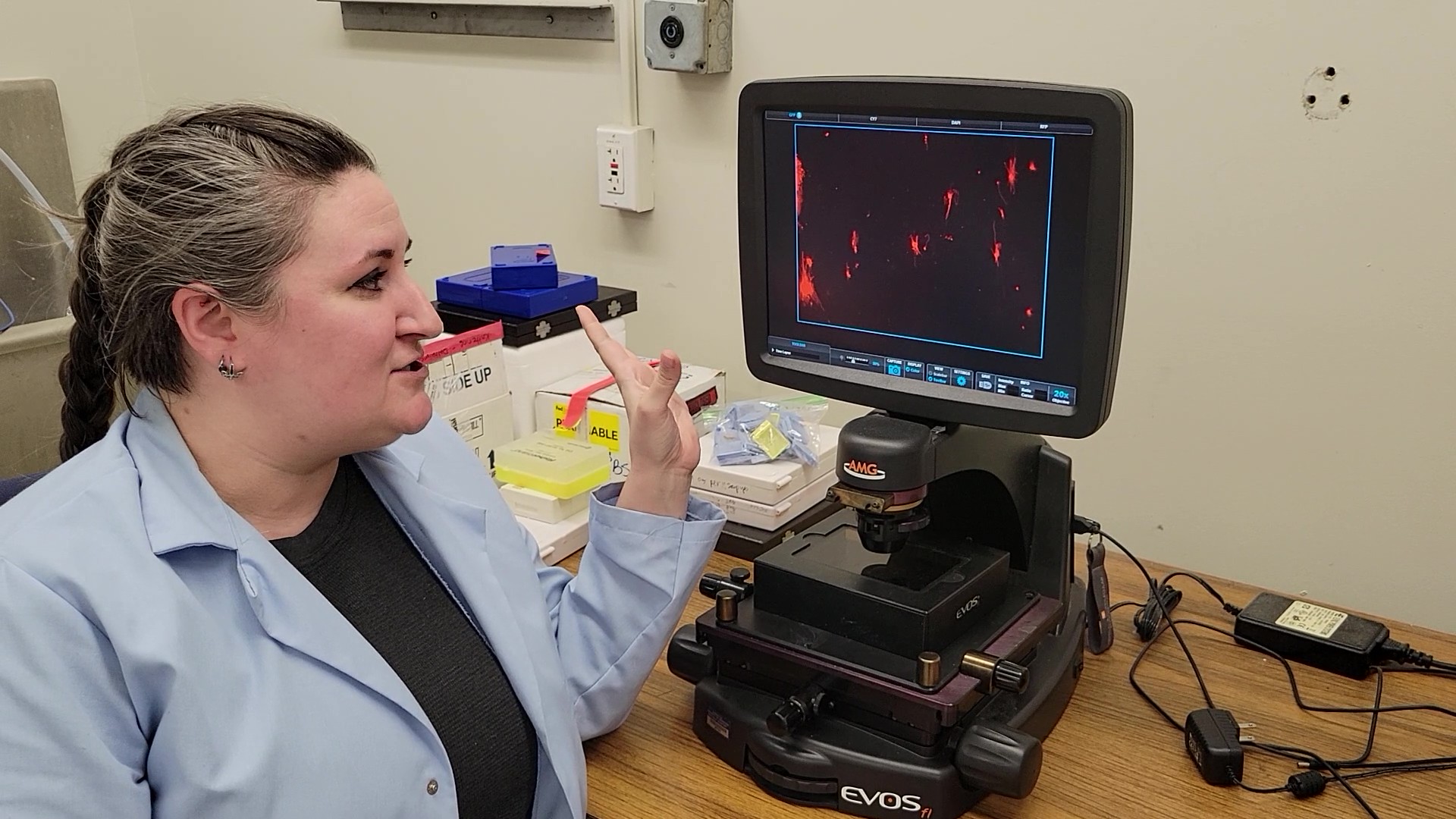 Denman explaining data