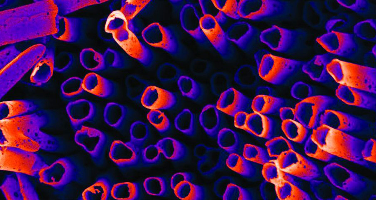 Nanotubes